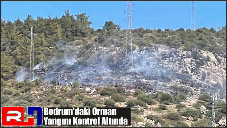 Bodrum’daki Orman Yangını Kontrol Altında