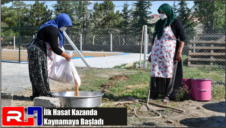 İlk Hasat Kazanda Kaynamaya Başladı