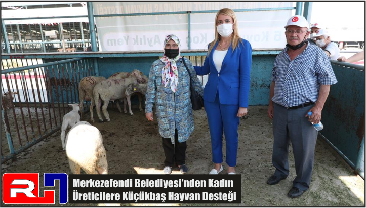 Merkezefendi Belediyesi’nden Kadın Üreticilere Küçükbaş Hayvan Desteği