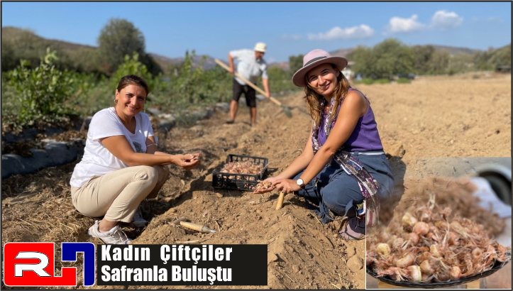 Kadın Çiftçiler Safranla Buluştu