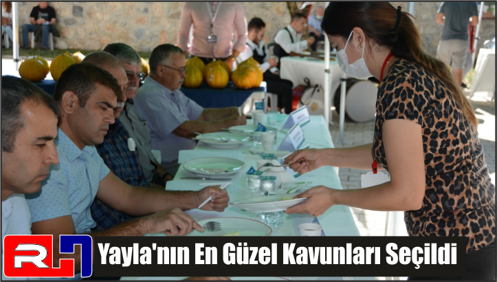Yayla’nın En Güzel Kavunları Seçildi