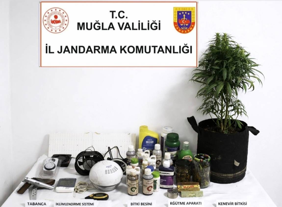 Muğla’da Zehir Tacirlerine Jandarma Darbesi